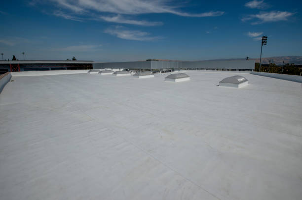 Best Roof Insulation Installation  in Maryville, MO