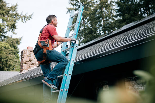 Best Chimney Flashing Repair  in Maryville, MO